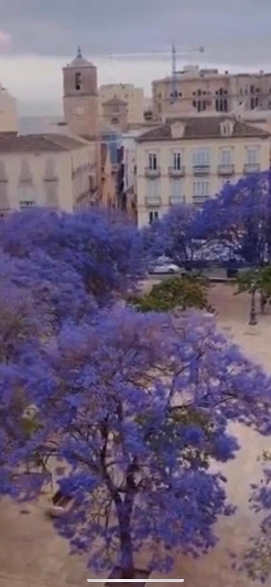 Apartamento—Centro Parking Gratis Grupos Malaga Luaran gambar